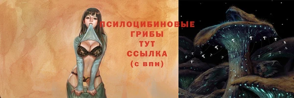 PSILOCYBIN Армянск