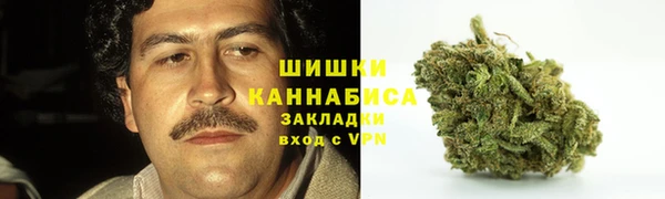 мескалин Арсеньев